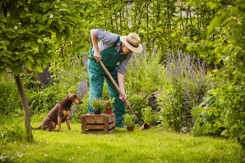 Eco-friendly garden clearance practices in Brompton