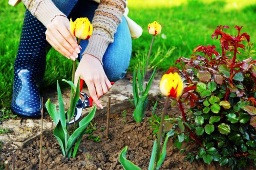 Close-up of lawn edging and grass clippings